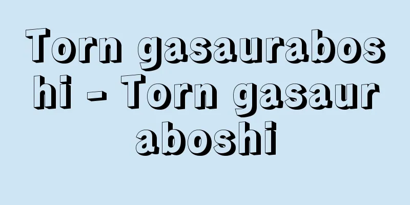 Torn gasauraboshi - Torn gasauraboshi