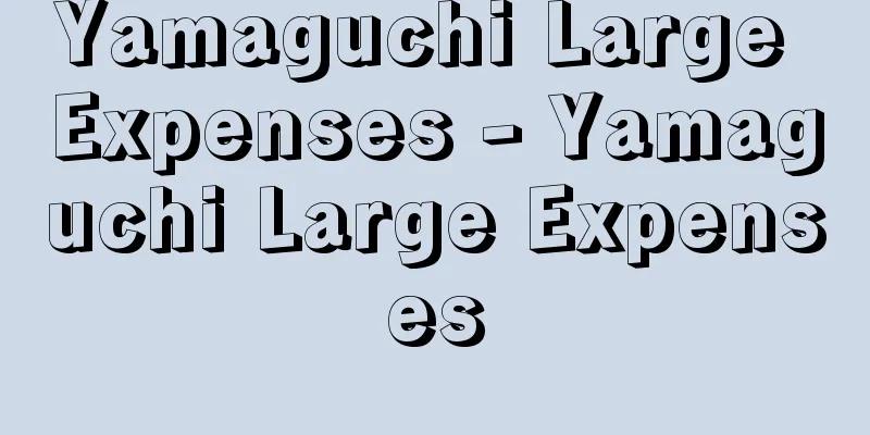 Yamaguchi Large Expenses - Yamaguchi Large Expenses