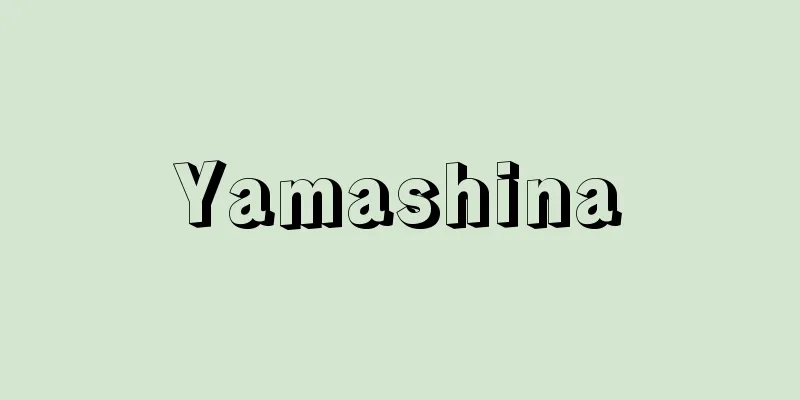 Yamashina