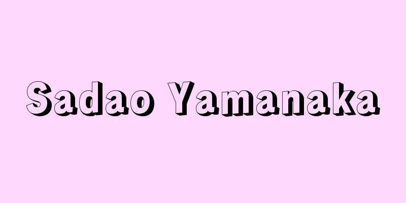 Sadao Yamanaka
