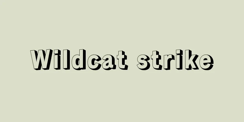 Wildcat strike