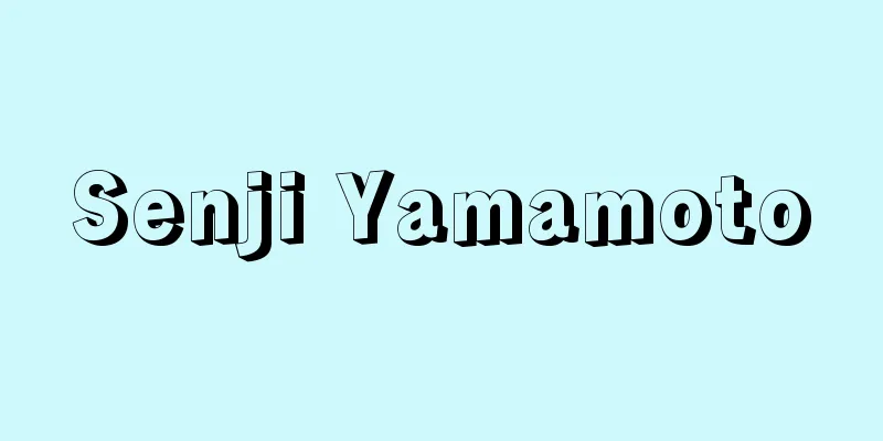 Senji Yamamoto