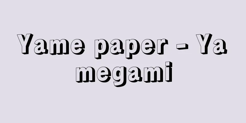 Yame paper - Yamegami