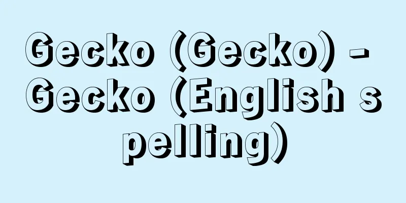 Gecko (Gecko) - Gecko (English spelling)
