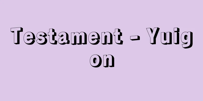 Testament - Yuigon