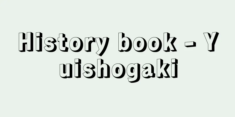 History book - Yuishogaki