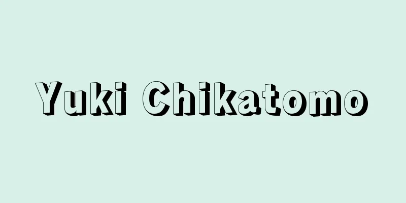 Yuki Chikatomo