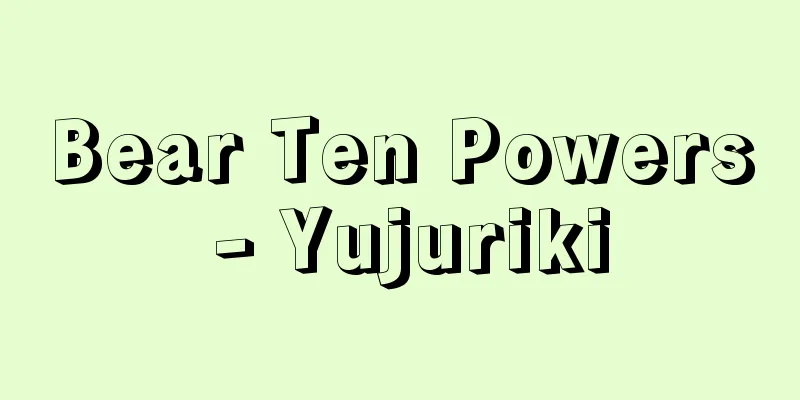 Bear Ten Powers - Yujuriki