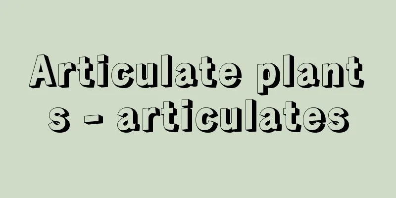 Articulate plants - articulates