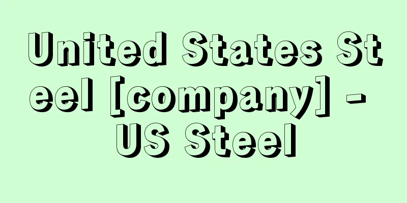 United States Steel [company] - US Steel
