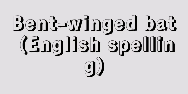 Bent-winged bat (English spelling)
