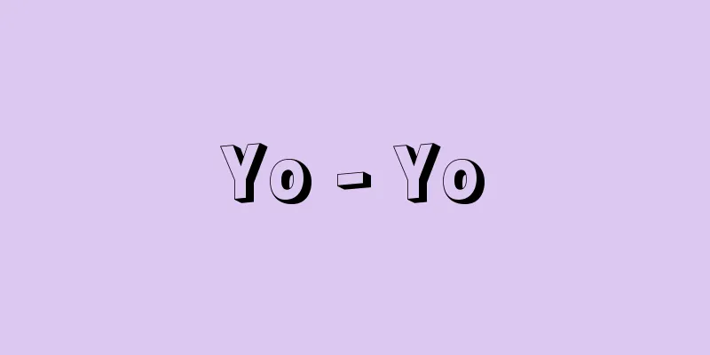 Yo - Yo