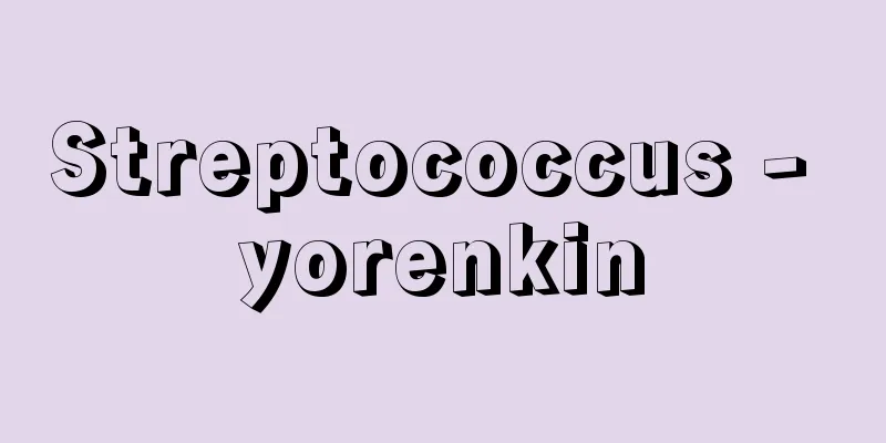 Streptococcus - yorenkin