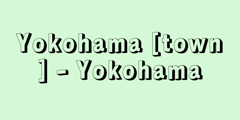 Yokohama [town] - Yokohama