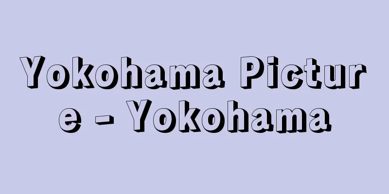 Yokohama Picture - Yokohama