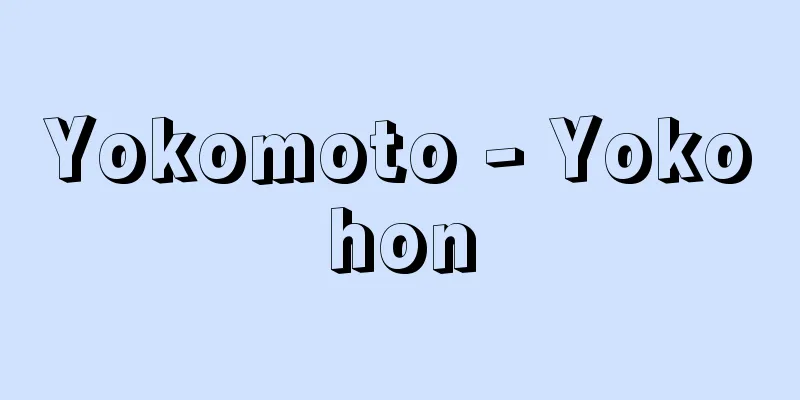 Yokomoto - Yokohon