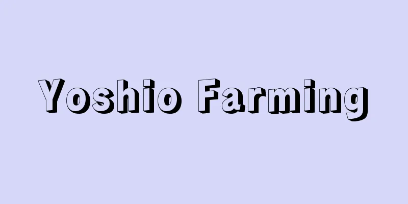 Yoshio Farming