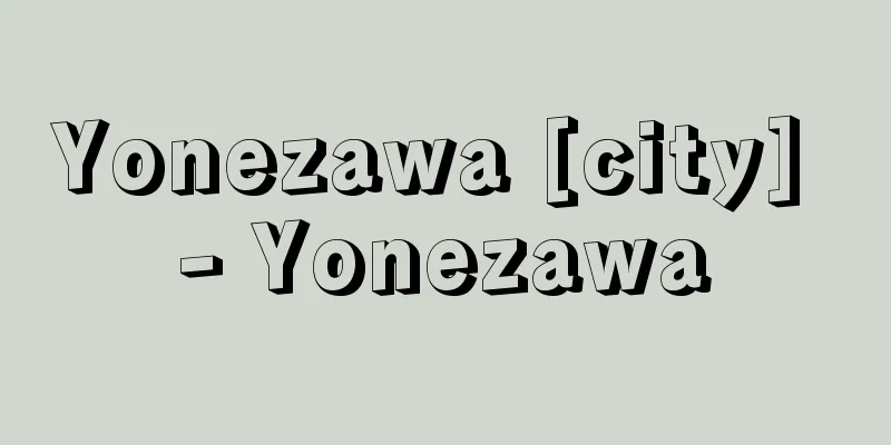 Yonezawa [city] - Yonezawa