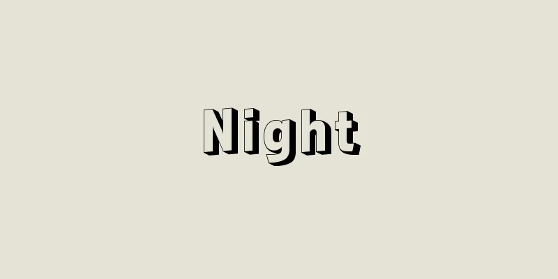 Night