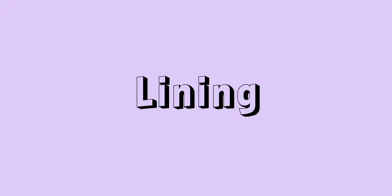 Lining