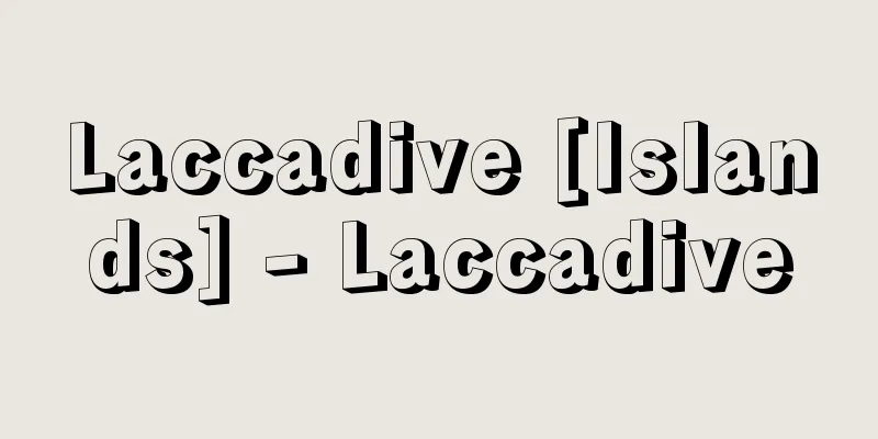 Laccadive [Islands] - Laccadive