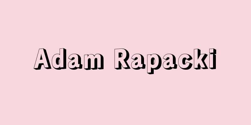 Adam Rapacki