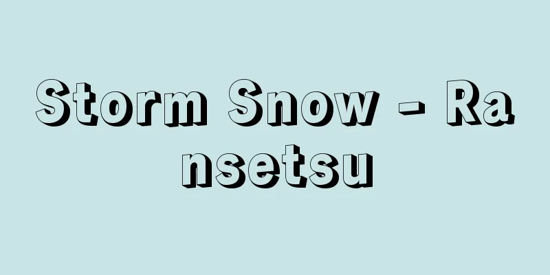 Storm Snow - Ransetsu