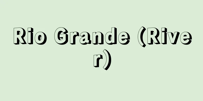 Rio Grande (River)