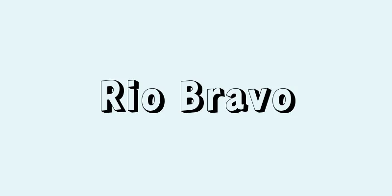 Rio Bravo