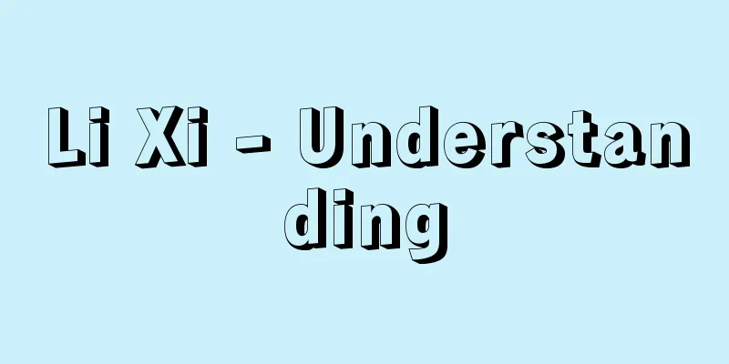 Li Xi - Understanding