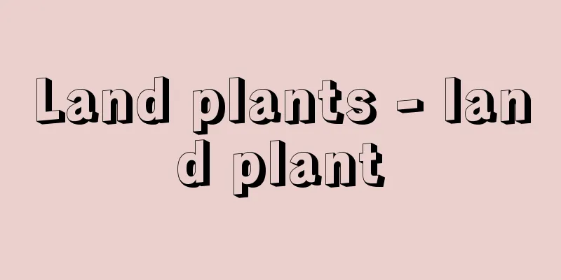 Land plants - land plant