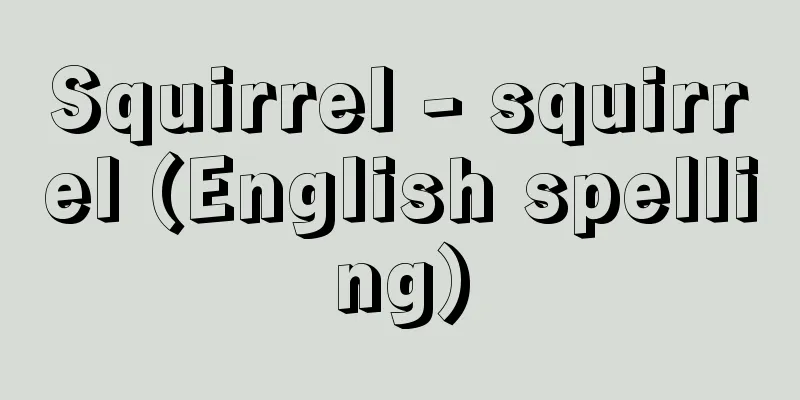 Squirrel - squirrel (English spelling)