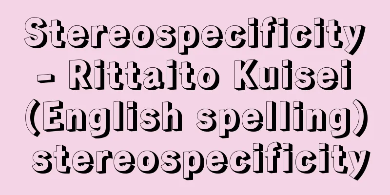Stereospecificity - Rittaito Kuisei (English spelling) stereospecificity