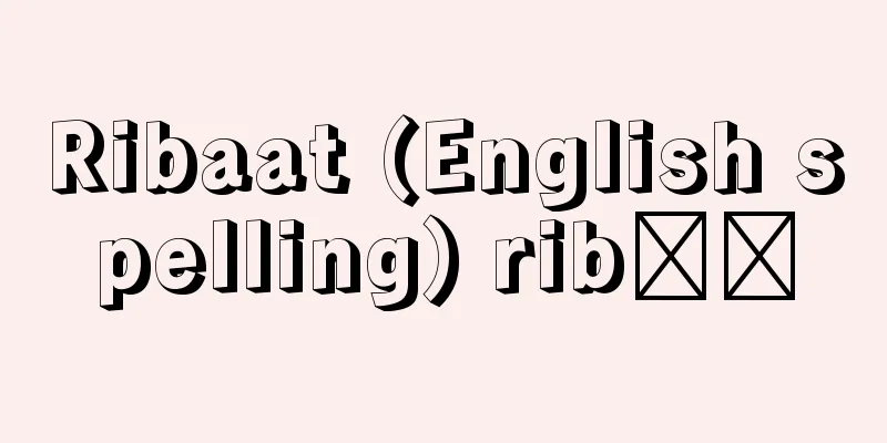 Ribaat (English spelling) ribāṭ