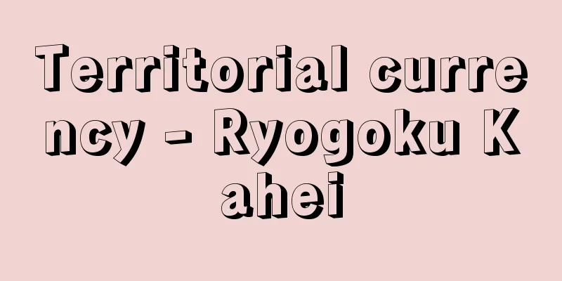 Territorial currency - Ryogoku Kahei