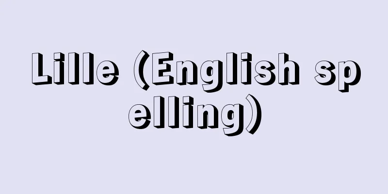 Lille (English spelling)