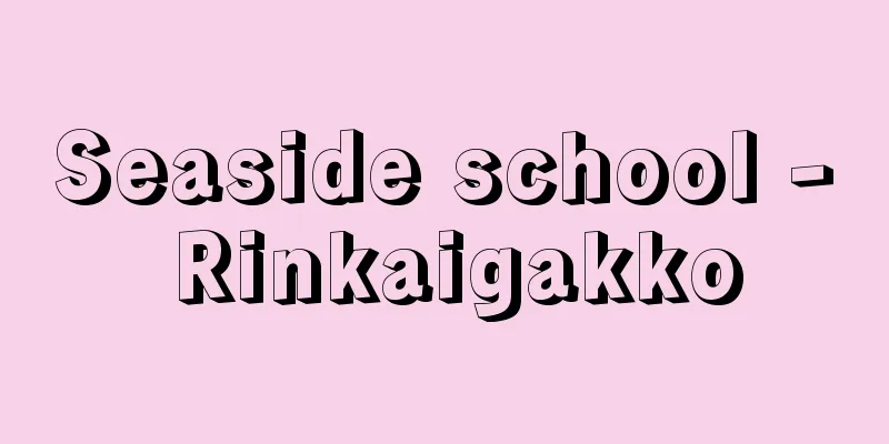 Seaside school - Rinkaigakko