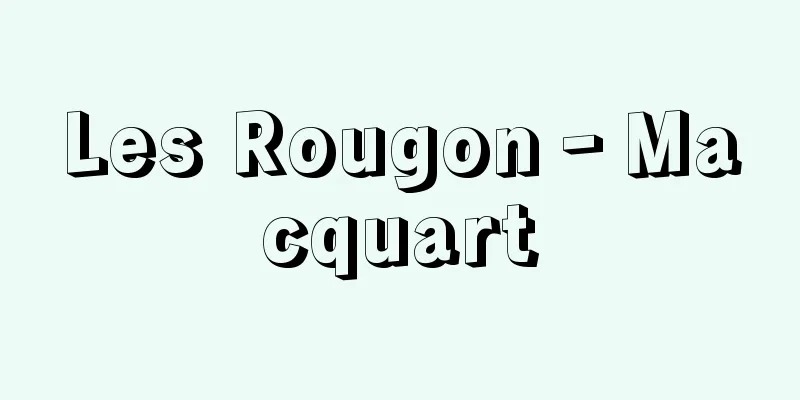 Les Rougon‐Macquart