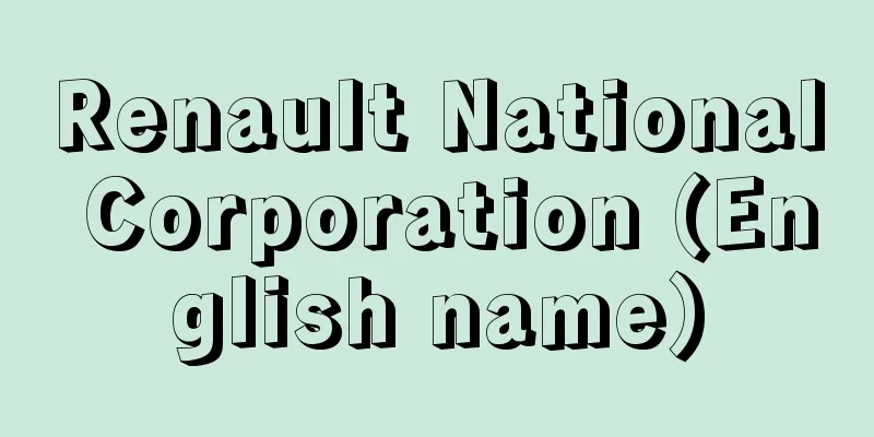 Renault National Corporation (English name)