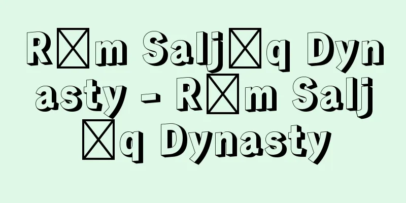 Rūm Saljūq Dynasty - Rūm Saljūq Dynasty