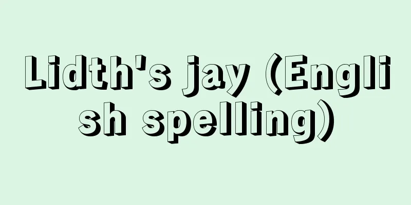 Lidth's jay (English spelling)