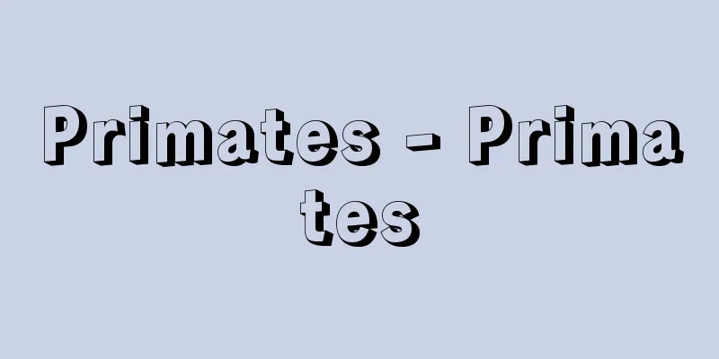 Primates - Primates