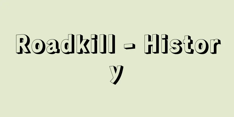 Roadkill - History