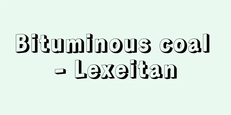 Bituminous coal - Lexeitan