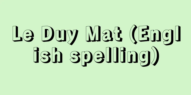 Le Duy Mat (English spelling)