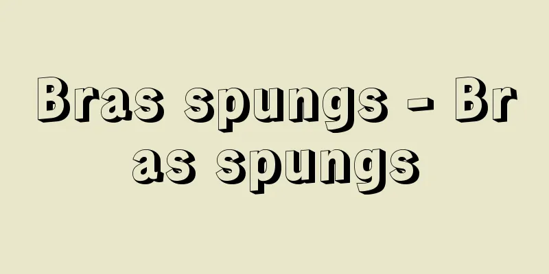 Bras spungs - Bras spungs