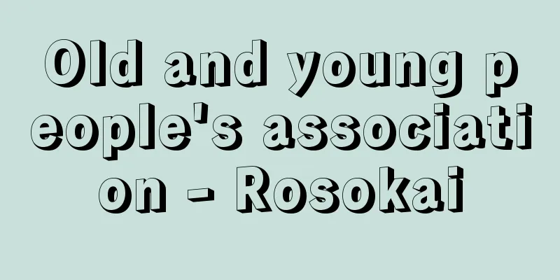 Old and young people's association - Rosokai