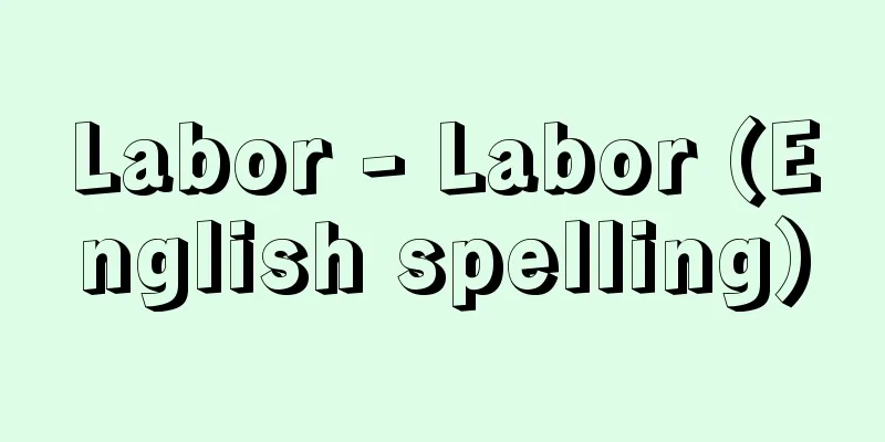 Labor - Labor (English spelling)
