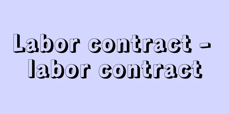 Labor contract - labor contract