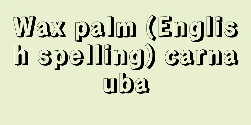 Wax palm (English spelling) carnauba